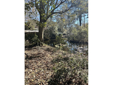 Beach Lot For Sale in Freeport, Florida