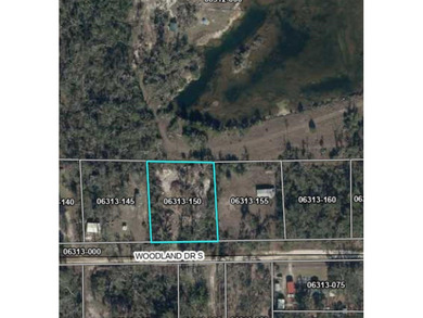 Beach Lot For Sale in Perry, Florida