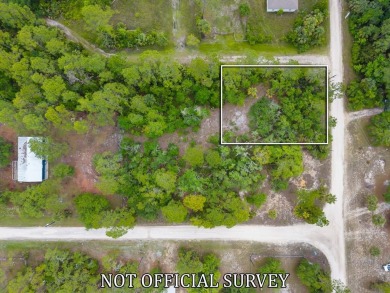 Beach Lot For Sale in Suwannee, Florida