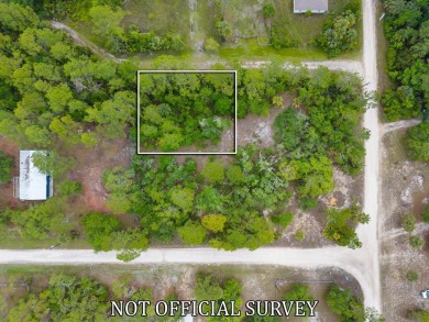 Beach Lot For Sale in Suwannee, Florida