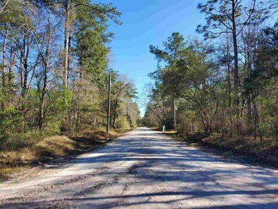 Beach Lot For Sale in Crawfordville, Florida