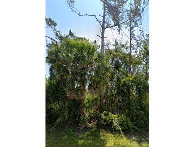 Beach Lot For Sale in Port Charlotte, Florida