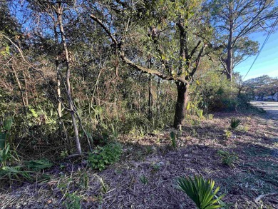 Beach Lot For Sale in Panacea, Florida