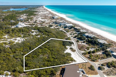 Beach Lot For Sale in Santa Rosa Beach, Florida