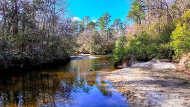 Beach Acreage For Sale in Robertsdale, Alabama