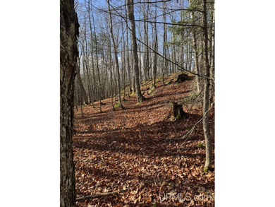 Beach Acreage Active Under Contract in L Anse, Michigan