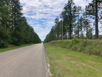 Beach Lot For Sale in Mobile, Alabama