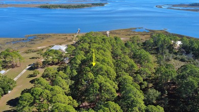 Beach Lot For Sale in Panacea, Florida