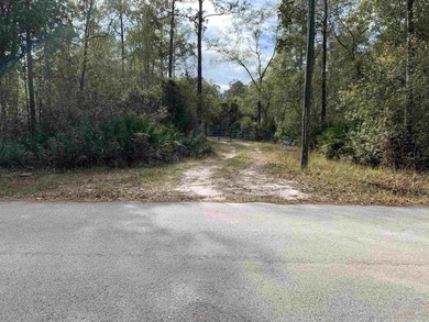Beach Acreage For Sale in Sopchoppy, Florida