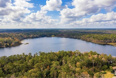 Beach Acreage For Sale in Tallahassee, Florida