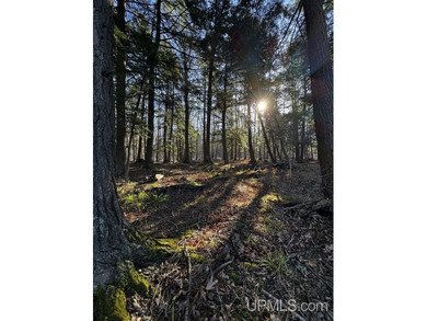 Beach Acreage For Sale in Skanee, Michigan