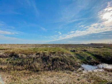 Beach Lot Off Market in Holly Beach, Louisiana