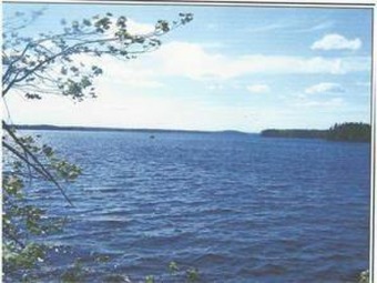 Beach Acreage For Sale in Whiting, Maine