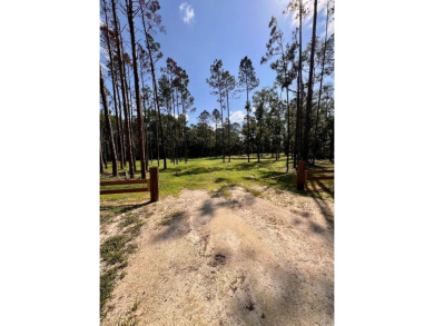 Beach Acreage Sale Pending in Steinhatchee, Florida