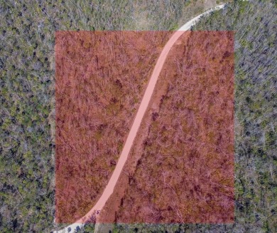 Beach Acreage For Sale in Steinhatchee, Florida
