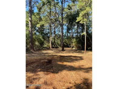 Beach Lot For Sale in Beaufort, South Carolina