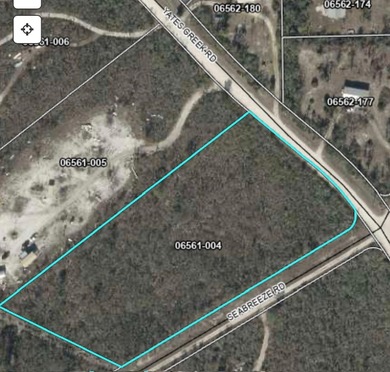 Beach Acreage For Sale in Perry, Florida
