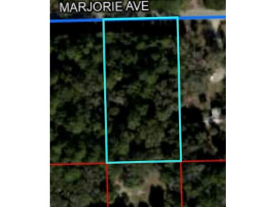 Beach Lot For Sale in Inglis, Florida