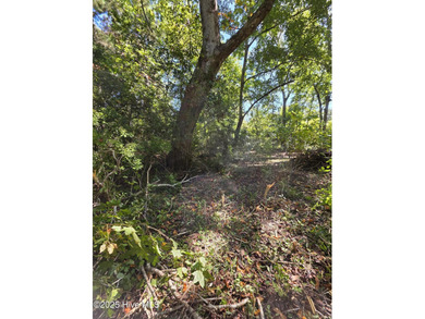 Beach Lot For Sale in Hampstead, North Carolina