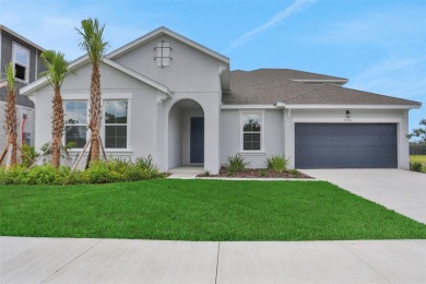 Beach Home For Sale in Land O Lakes, Florida