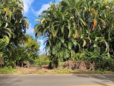 Beach Acreage Off Market in Hana, Hawaii