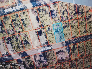 Beach Lot For Sale in Pass Christian, Mississippi