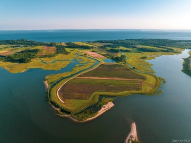 Beach Home For Sale in Orient, New York