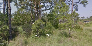 Beach Lot For Sale in Bay Saint Louis, Mississippi