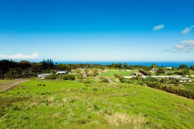 Beach Acreage Off Market in Haiku, Hawaii