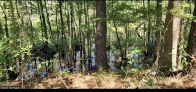 Beach Acreage For Sale in New Bern, North Carolina