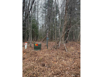 Beach Lot For Sale in Lake Linden, Michigan