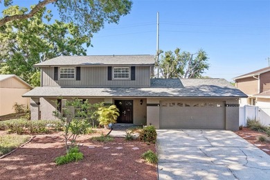 Beach Home Sale Pending in Tampa, Florida