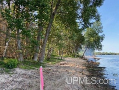 100 Ft of beautiful Lake Michigan frontage just 8 miles south of - Beach Lot for sale in Bark River, Michigan on Beachhouse.com