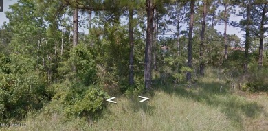 Beach Lot For Sale in Bay Saint Louis, Mississippi