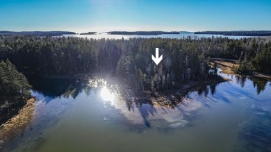 Beach Acreage For Sale in Milbridge, Maine