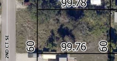 Beach Lot For Sale in Vero Beach, Florida