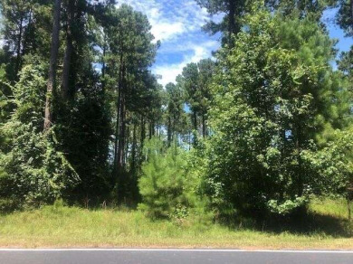 Residential Lot - Townsend, GA One acre of marsh front property - Beach Lot for sale in Townsend, Georgia on Beachhouse.com