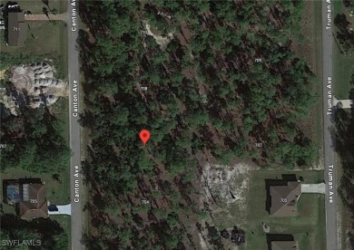 Beach Lot For Sale in Lehigh Acres, Florida