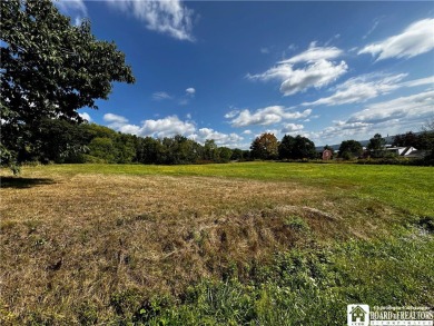 Beach Lot For Sale in Ellery, New York