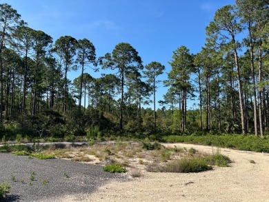 Beach Acreage For Sale in Cedar Key, Florida
