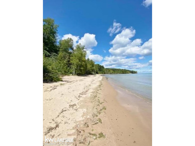 Beach Lot For Sale in Palms, Michigan
