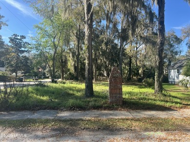 Beach Lot For Sale in Beaufort, South Carolina