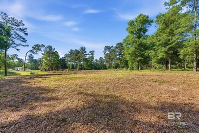 Beach Lot For Sale in Mobile, Alabama