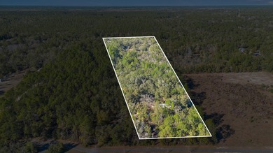 Beach Acreage For Sale in Crawfordville, Florida