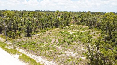 Beach Lot For Sale in Perry, Florida