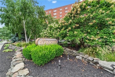 Beach Condo For Sale in Lakewood, Ohio