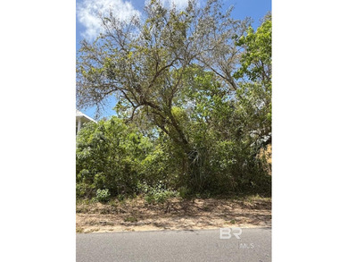 Beach Lot For Sale in Orange Beach, Alabama