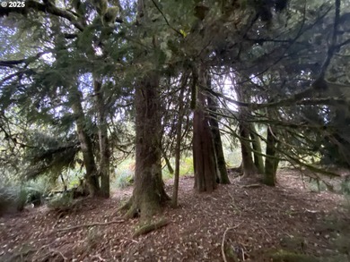 Beach Acreage For Sale in Warrenton, Oregon