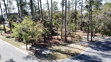 Beach Lot For Sale in Beaufort, South Carolina