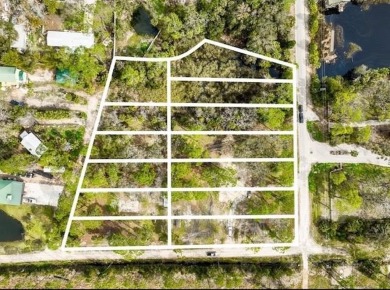 Beach Acreage For Sale in Steinhatchee, Florida